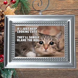 Cat Kitty Kitten Funny Christmas‎ Tree Ornament